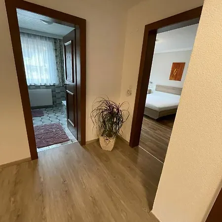 Apartment Wildalmblick Neukirchen am Großvenediger