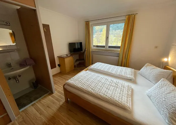 Wildalmblick Neukirchen am Großvenediger