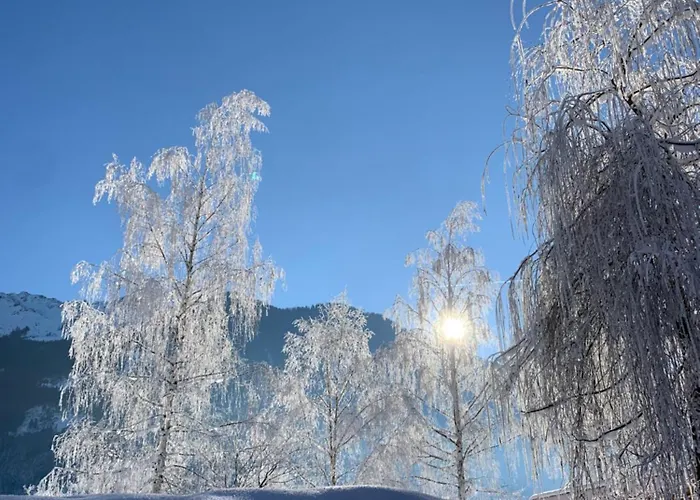 아파트 Wildalmblick *