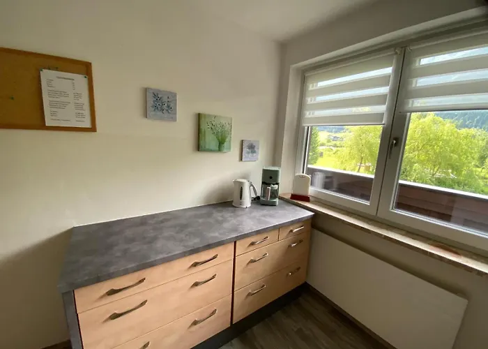 Wildalmblick Apartman